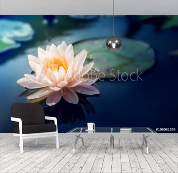Bild på A beautiful pink waterlily or lotus flower in pond